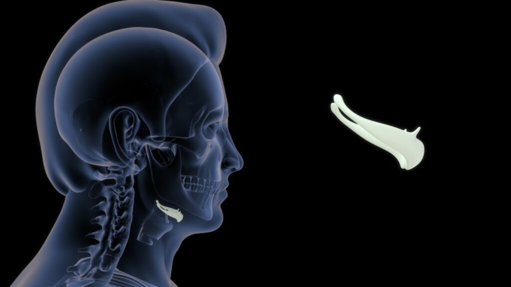 Quels liens entre des douleurs cervicales et une serrée — free download