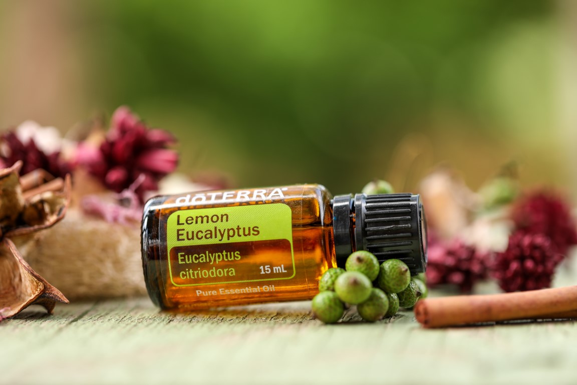L'huile essentielle d'eucalyptus citronné contre les douleurs au sacrum